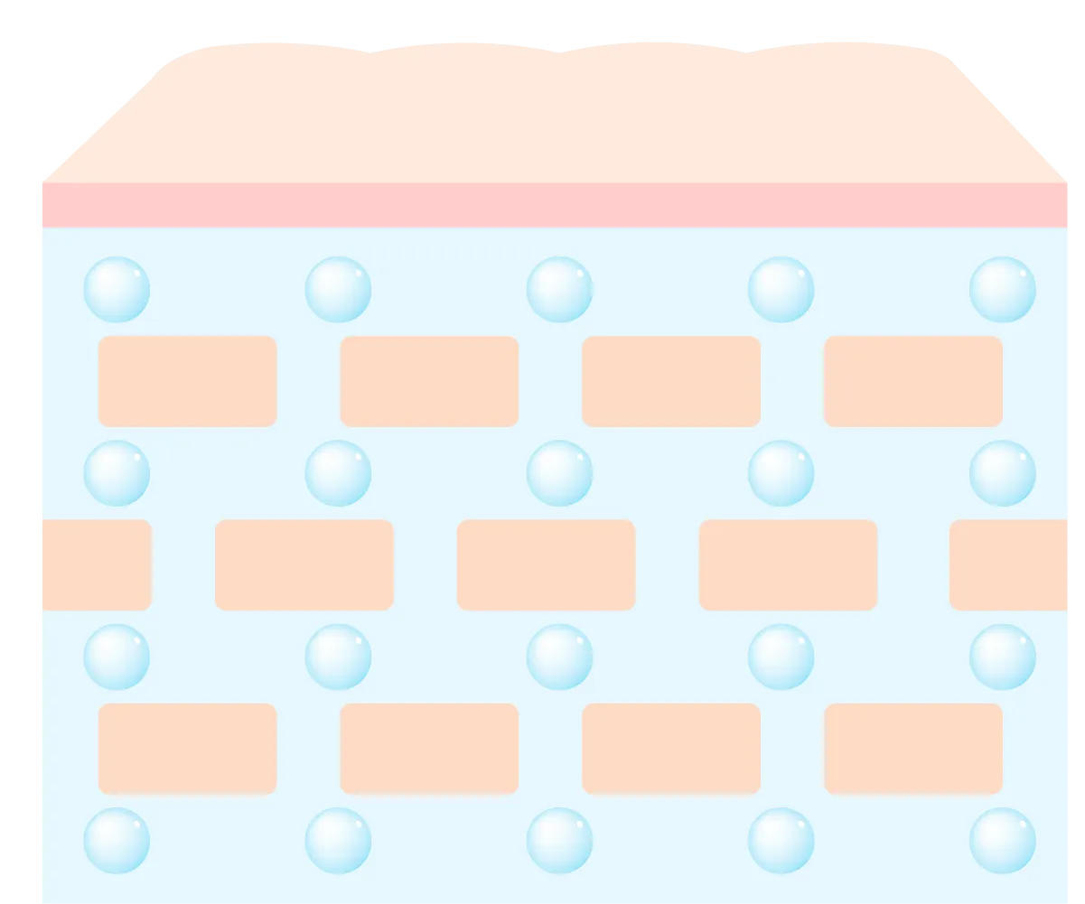 毛穴が小さくなり表皮が引き締まった肌